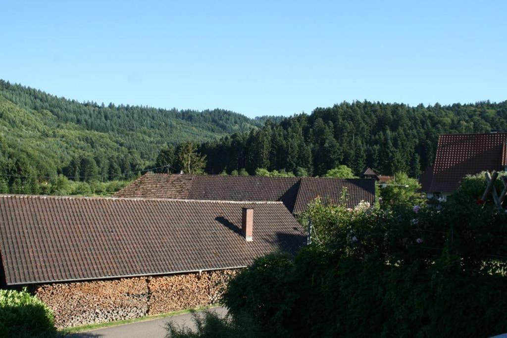 Ferienwohnung Hoehner Gengenbach Bagian luar foto